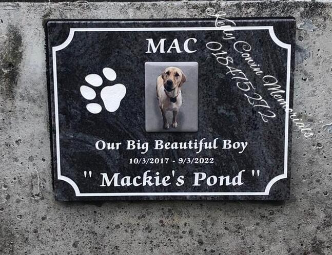 "Dog" Small Rectangle Granite Plaque 001 - Dublin Headstones - Glasnevin - Balgriffin - Fingal - Dardistown -  Kelly Cowin Memorials