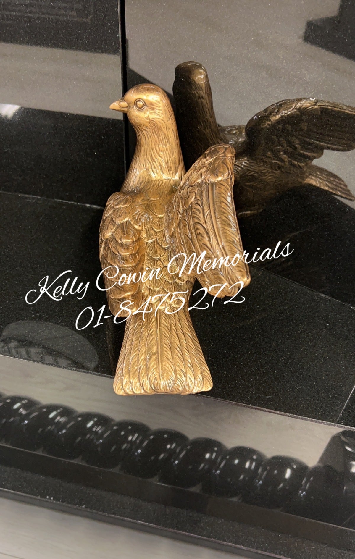 S025 - Bronze Dove